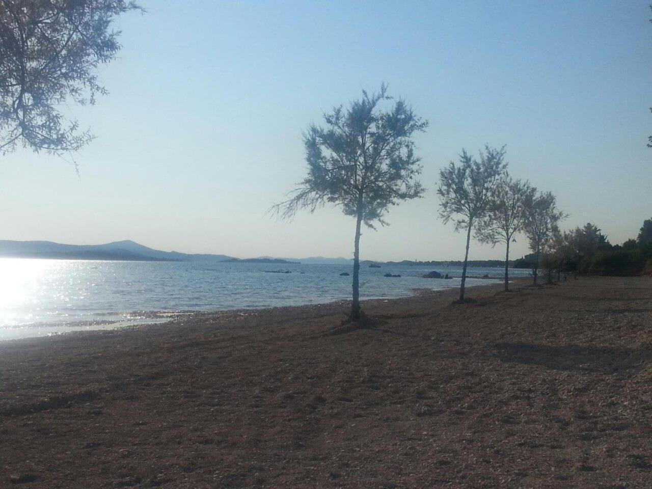 Family Apartment B&B Biograd Na Moru Exterior foto